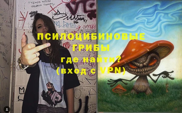 мяу мяу кристалл Богданович