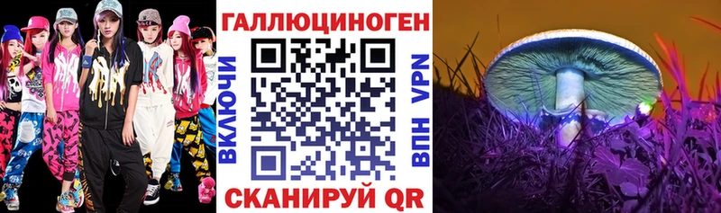 Галлюциногенные грибы Psilocybine cubensis  Берёзовский 
